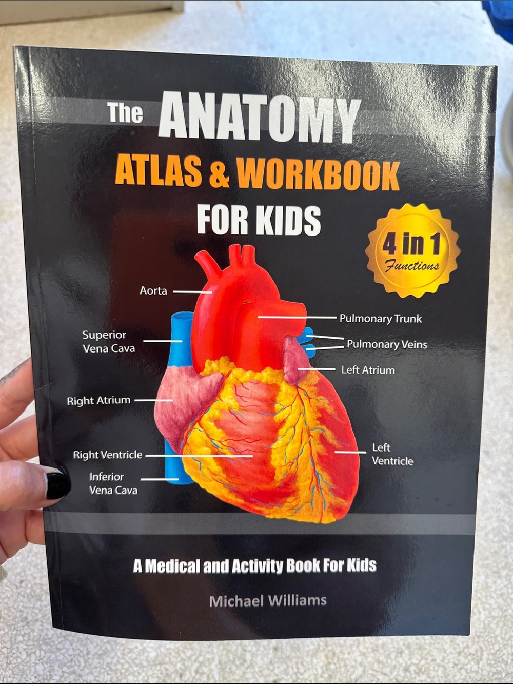 The Anatomy Atlas & Workbook for Kids -